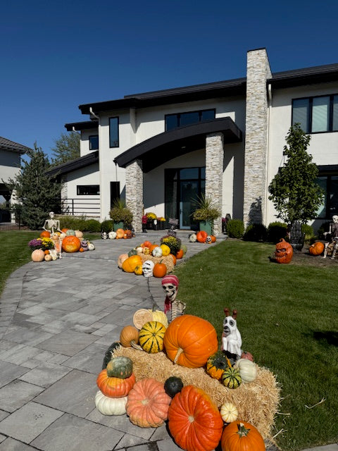 Pumpkins to Talk About